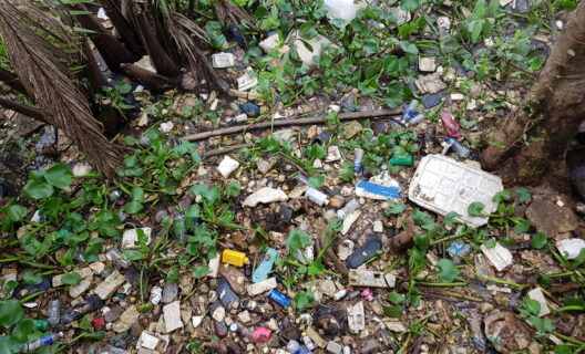 Nell’immagine, che dalle piante si riconosce come scattata in aree tropicali, una grande massa di rifiuti plastici galleggia sul fiume Mekong