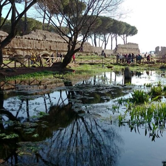 Una vista del Parco degli Acquedotti di Roma, con un’ampia zona umida in primo piano