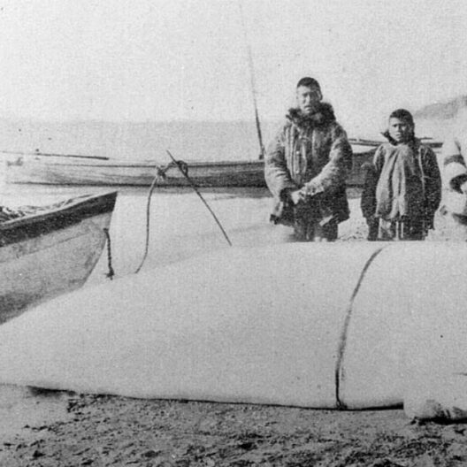 In una foto in bianco e nero tre pescatori inuit, in abiti tradizionali, posano in spiaggia davanti a un esemplare di beluga appena pescato