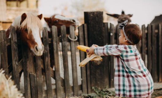 Bambini di città a cavallo, e migliora la salute