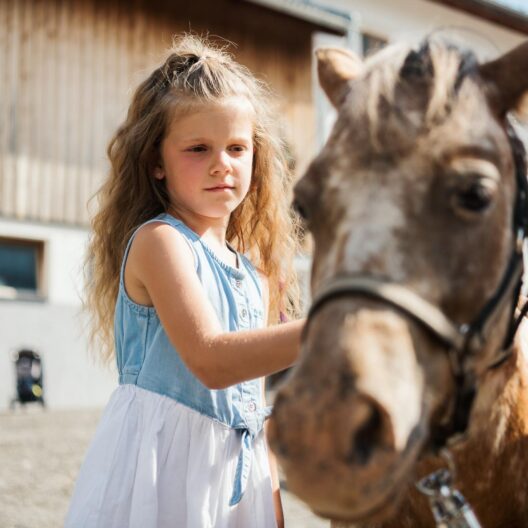 Una ragazzina spazzola un cavallo